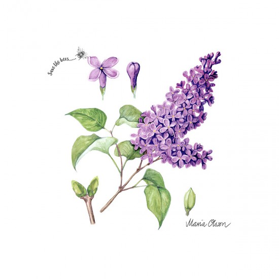 Servilletas 33x33 Lilac